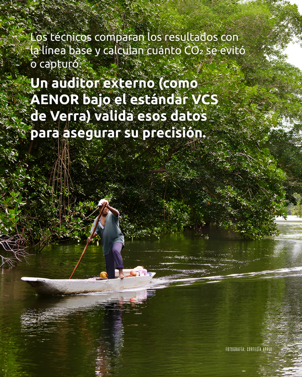 Slide 5 infografía 2